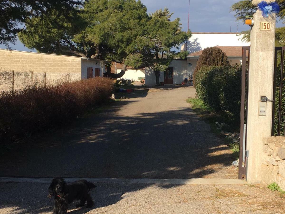B&B Nuzzi Cassano delle Murge Eksteriør bilde